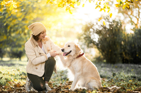 Understanding Dog Body Language: Decoding Canine Communication for a Stronger Bond