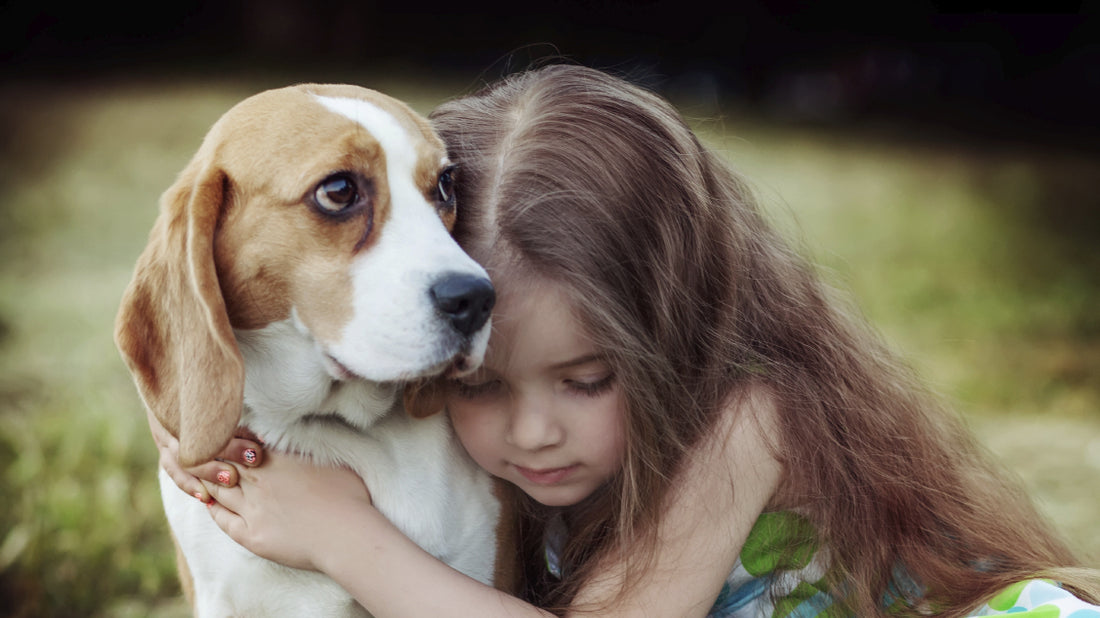 Why hugging your pet might not be as comforting as you think