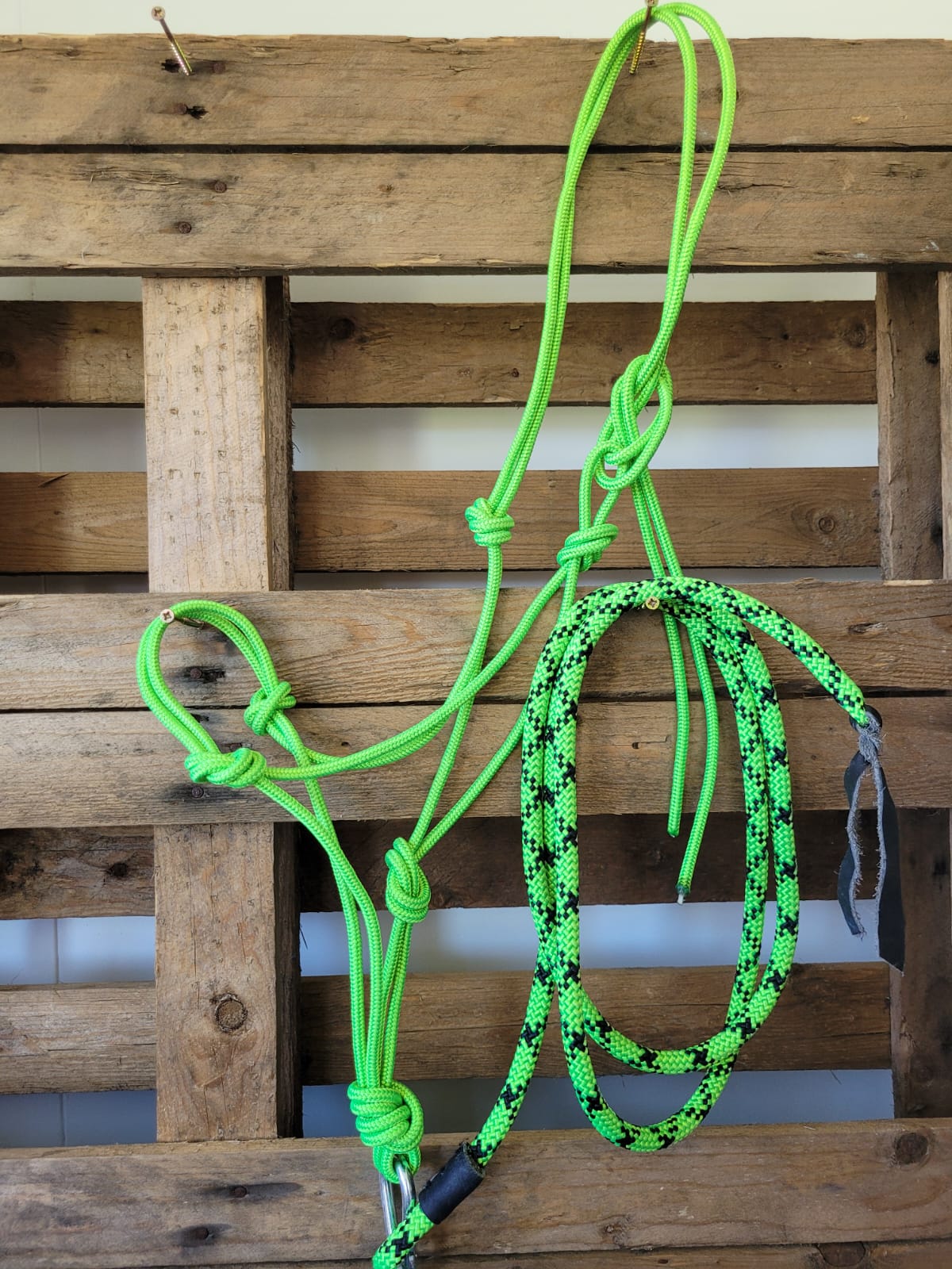 Rope halters and lead