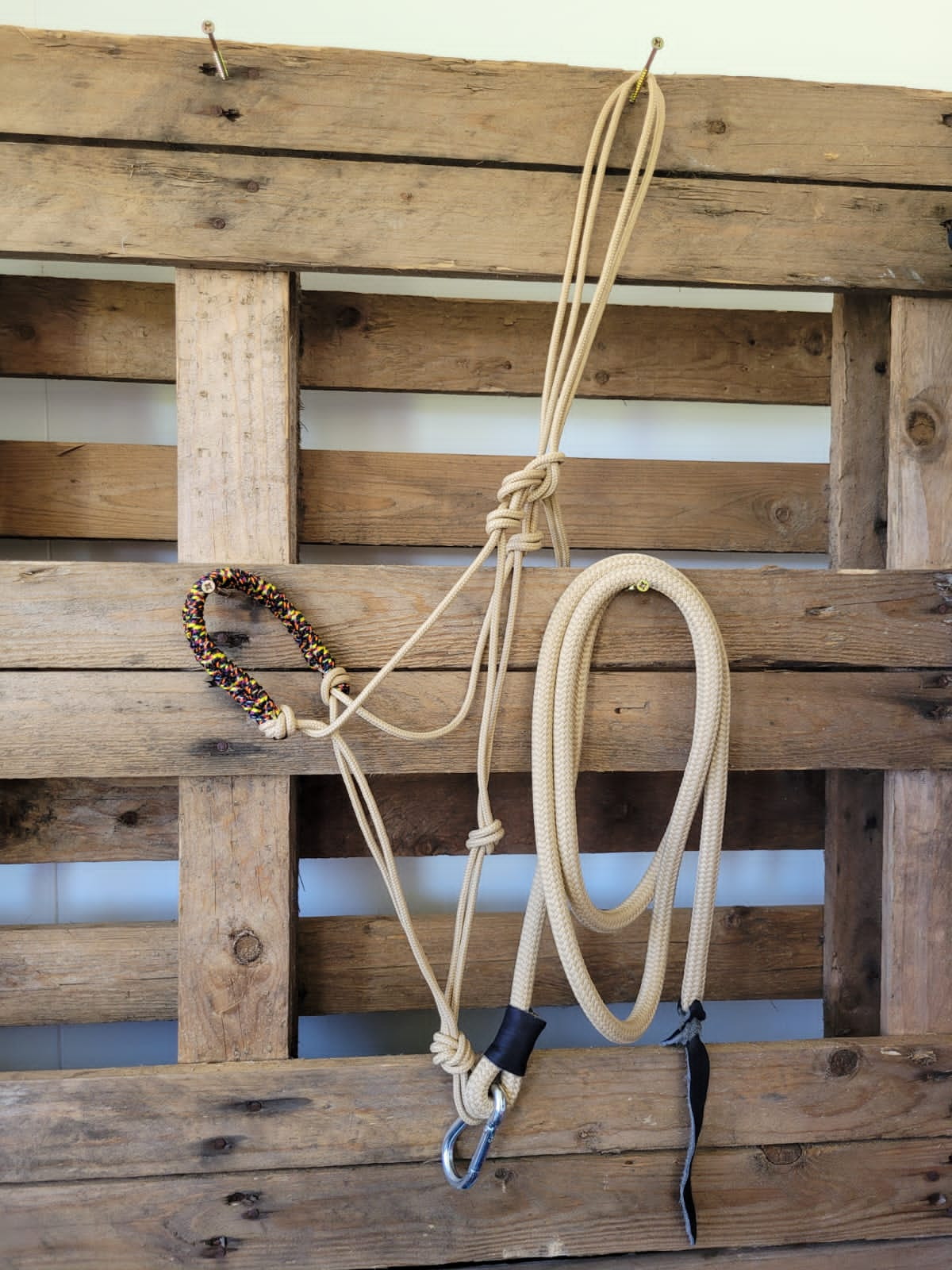 Rope halters and lead