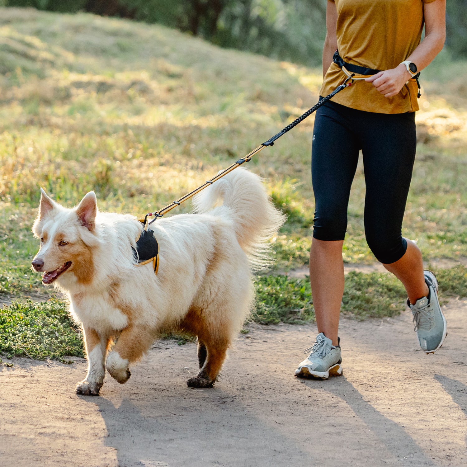 Airtech sport belt and lead - My Pet Store