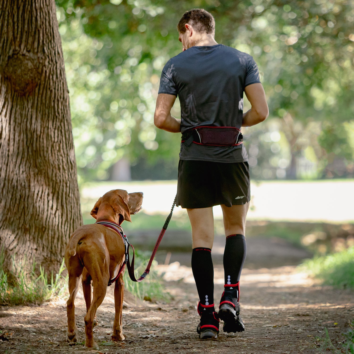 Airtech sport belt and lead - My Pet Store