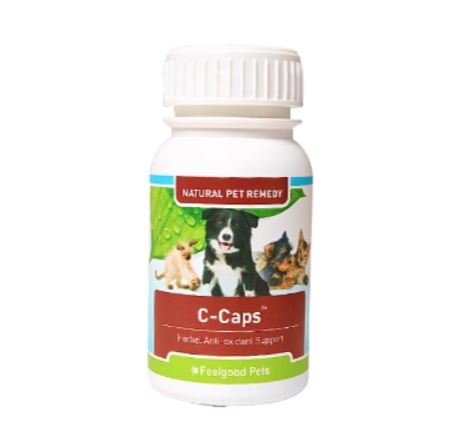 C-Caps: Natural remedy supports dogs & cats with cancer - My Pet Store