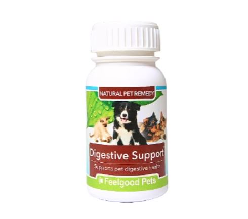 Digestive Support: Natural remedy for pet digestive health - My Pet Store