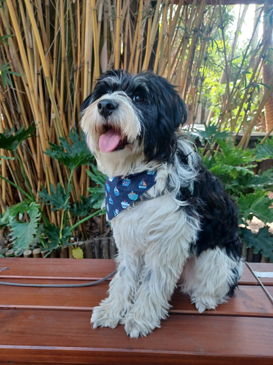 Doggy bandana's