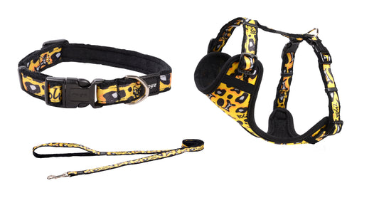 Fashion combo - collar, lead and harness - My Pet Store