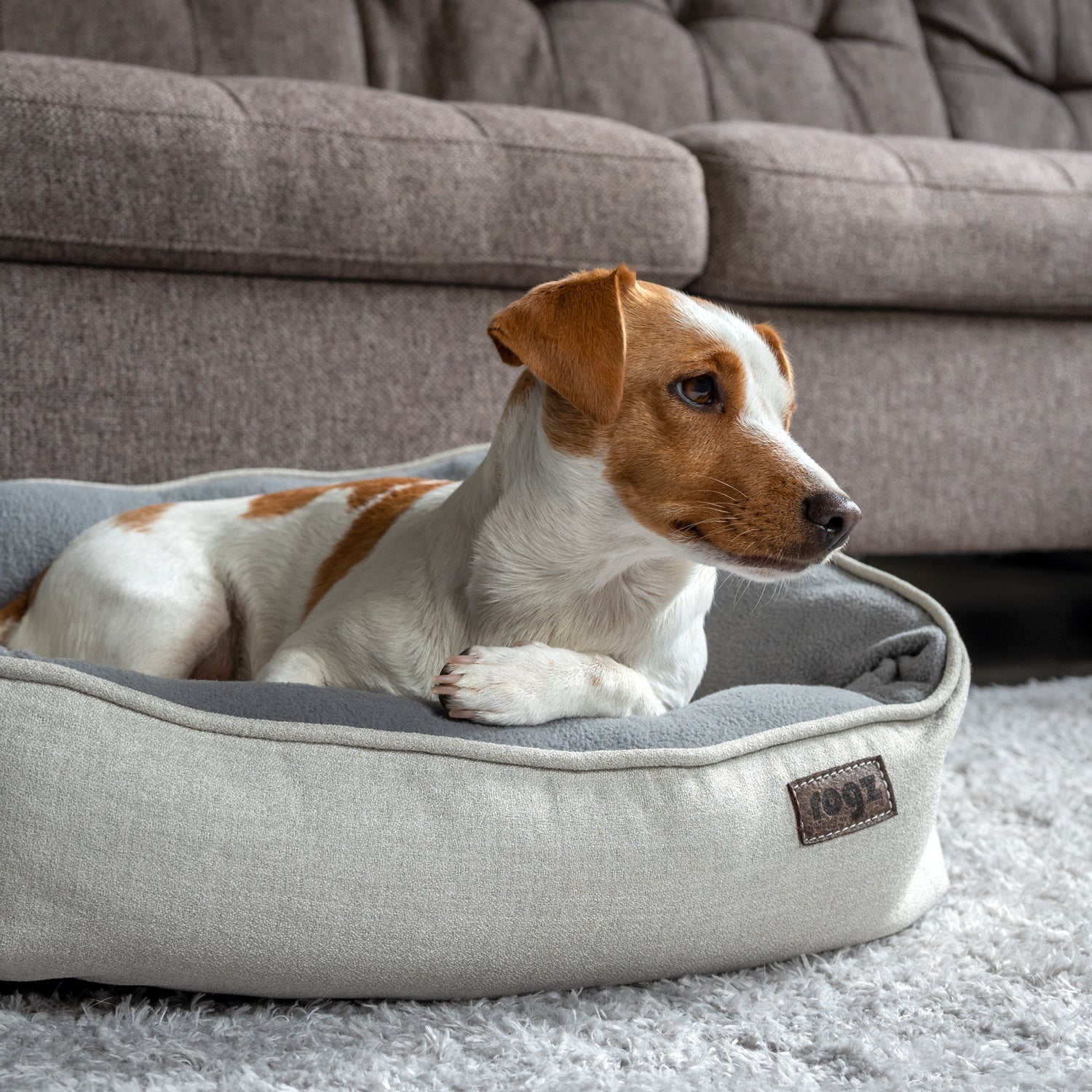 Nova walled bed for dogs - My Pet Store