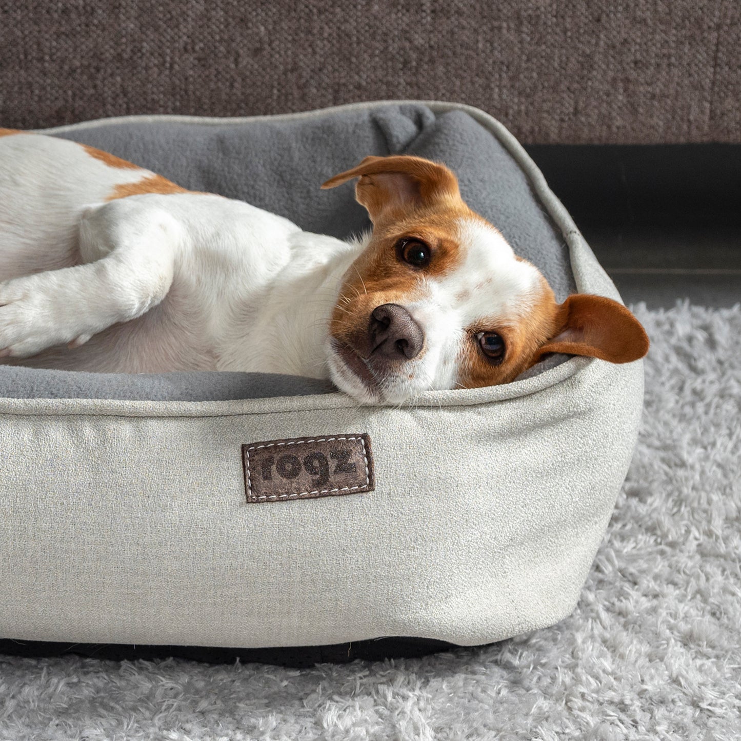 Nova walled bed for dogs - My Pet Store