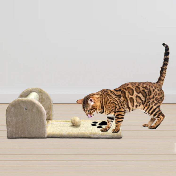 Rex Rolling paw cat scratcher. - My Pet Store