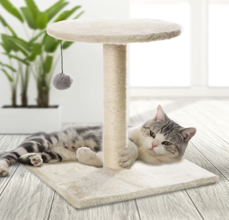 Rex Pet Scratcher-Round Top Post - My Pet Store