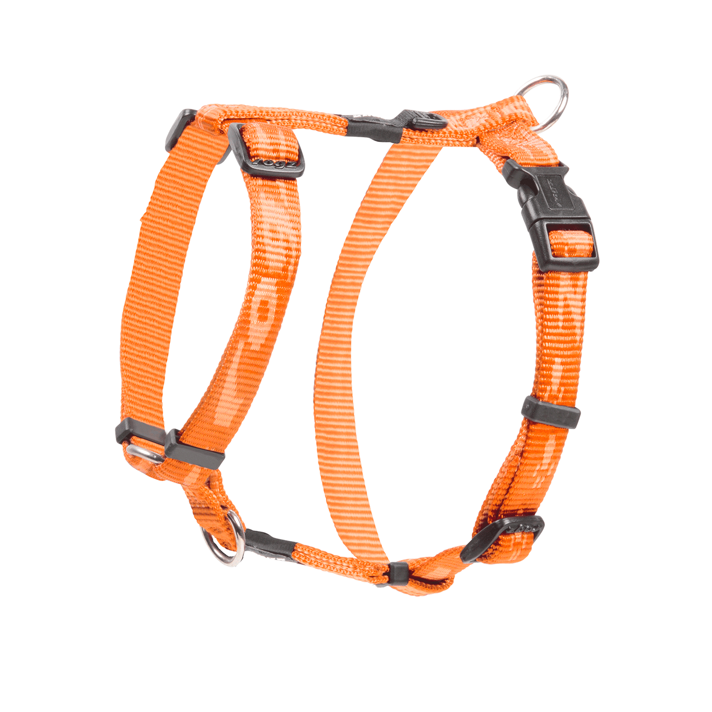 Alpinist classic harness - My Pet Store