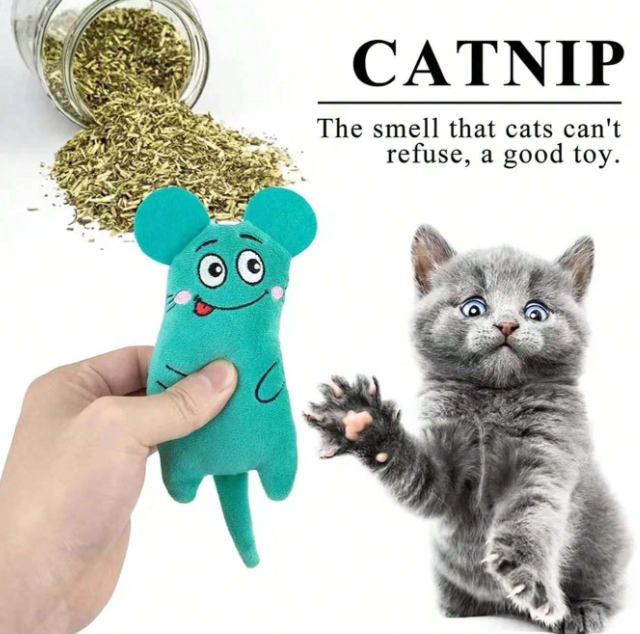 Cute catnip toys