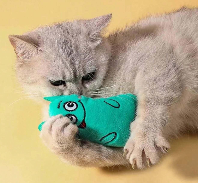 Cute catnip toys