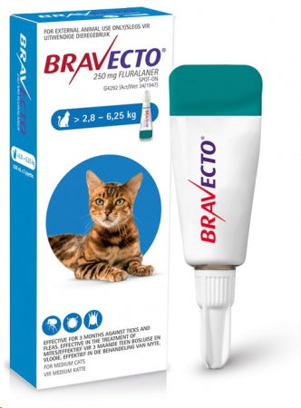 Bravecto for cats - My Pet Store