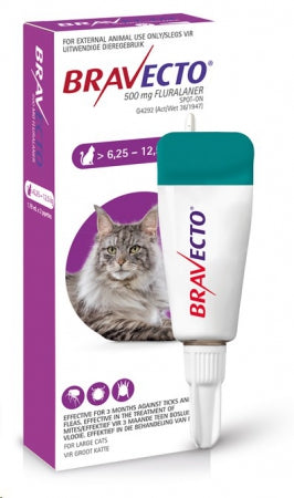 Bravecto for cats - My Pet Store