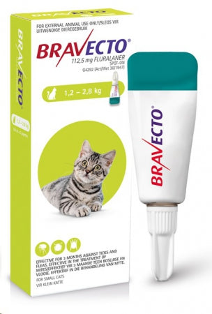 Bravecto for cats - My Pet Store