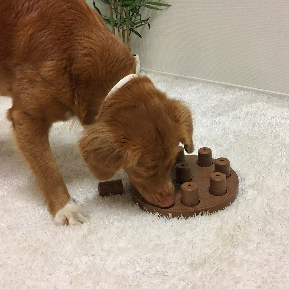 Dog Smart Composite puzzle toy