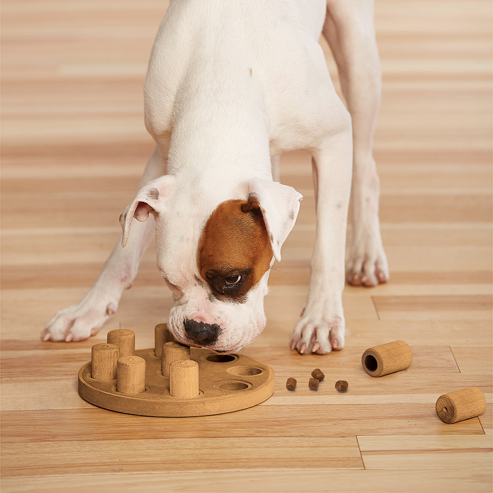 Dog Smart Composite puzzle toy