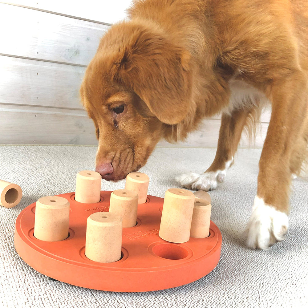 Dog Smart Composite puzzle toy