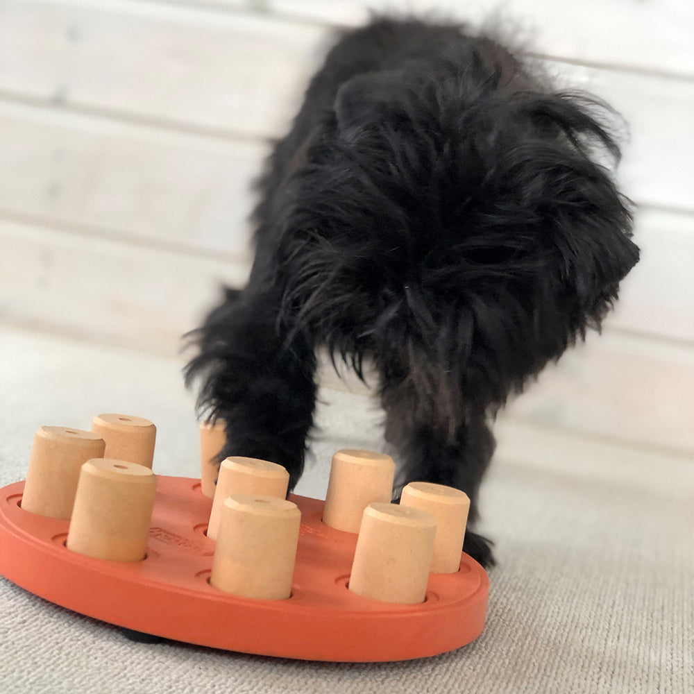 Dog Smart Composite puzzle toy