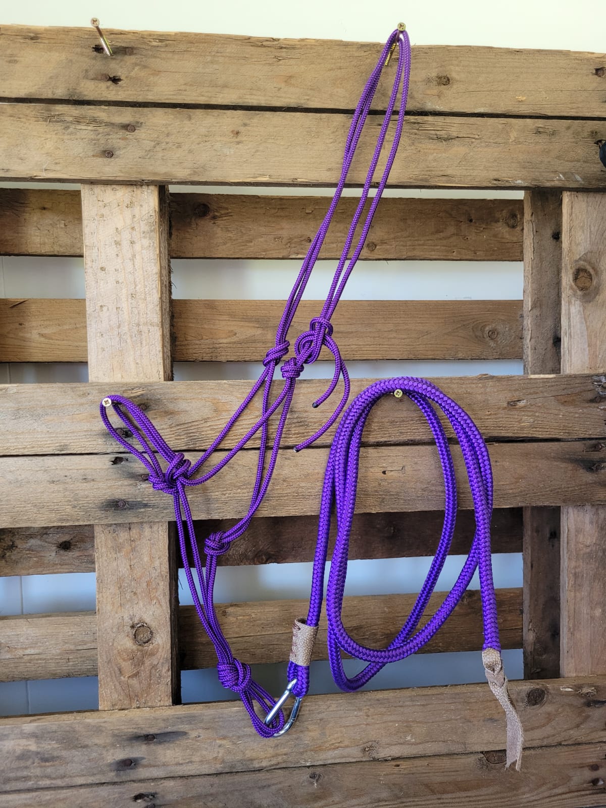 Rope halters and lead