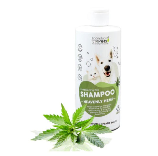 Hemp Shampoo for dogs, cats and horses | Pannatural Pets - My Pet Store