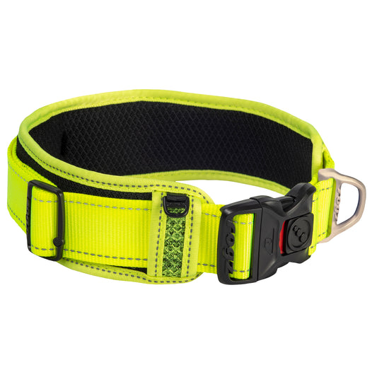 Utility padded classic collar - My Pet Store