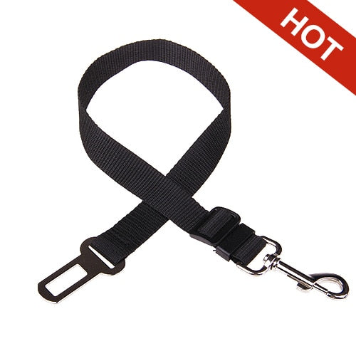 Adjustable dog seat belt - My Pet Store