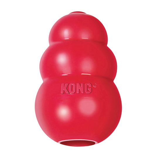 KONG Classic Treat Toy - My Pet Store