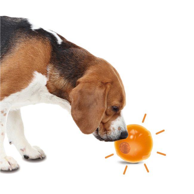 AFP Anti-Anxiety Speaking Ball