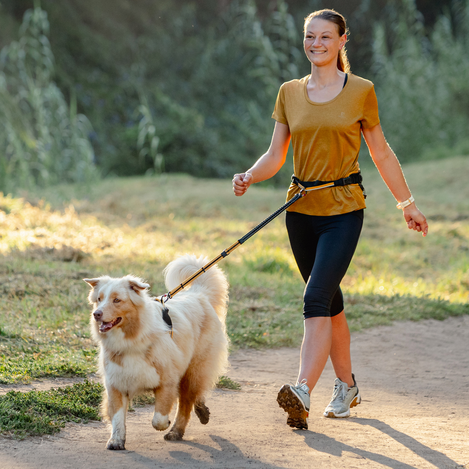 Rogz Airtech sport belt and lead - Image 11