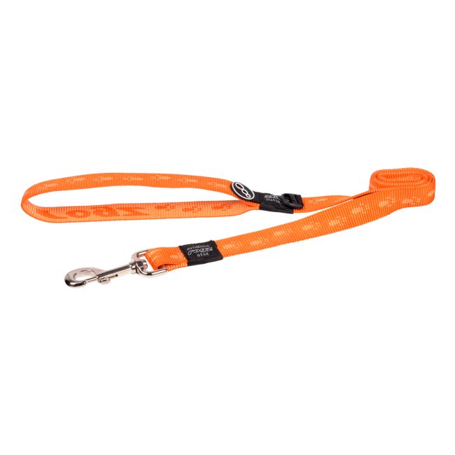 Rogz Alpinist Classic lead