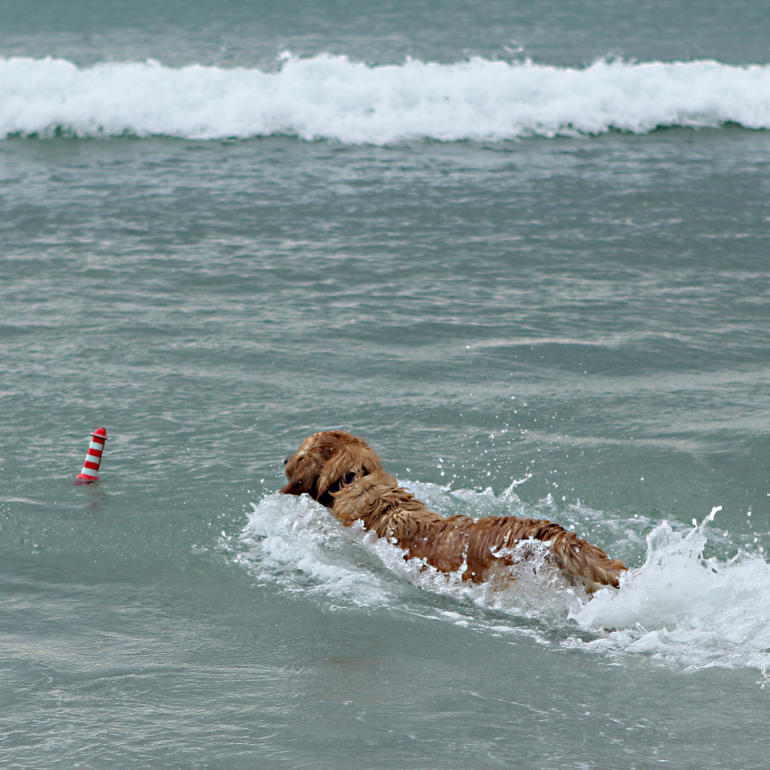 Rogz Lighthouse fetch water toy - Image 6