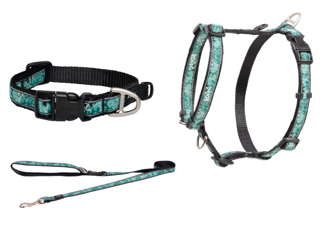 Rogz Fancydress Combo