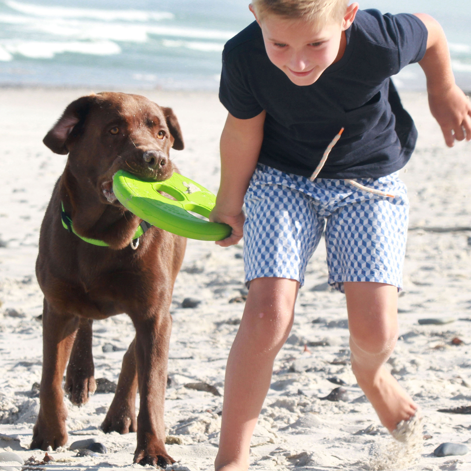 Rogz RFO Fetch Flying toy - Image 7