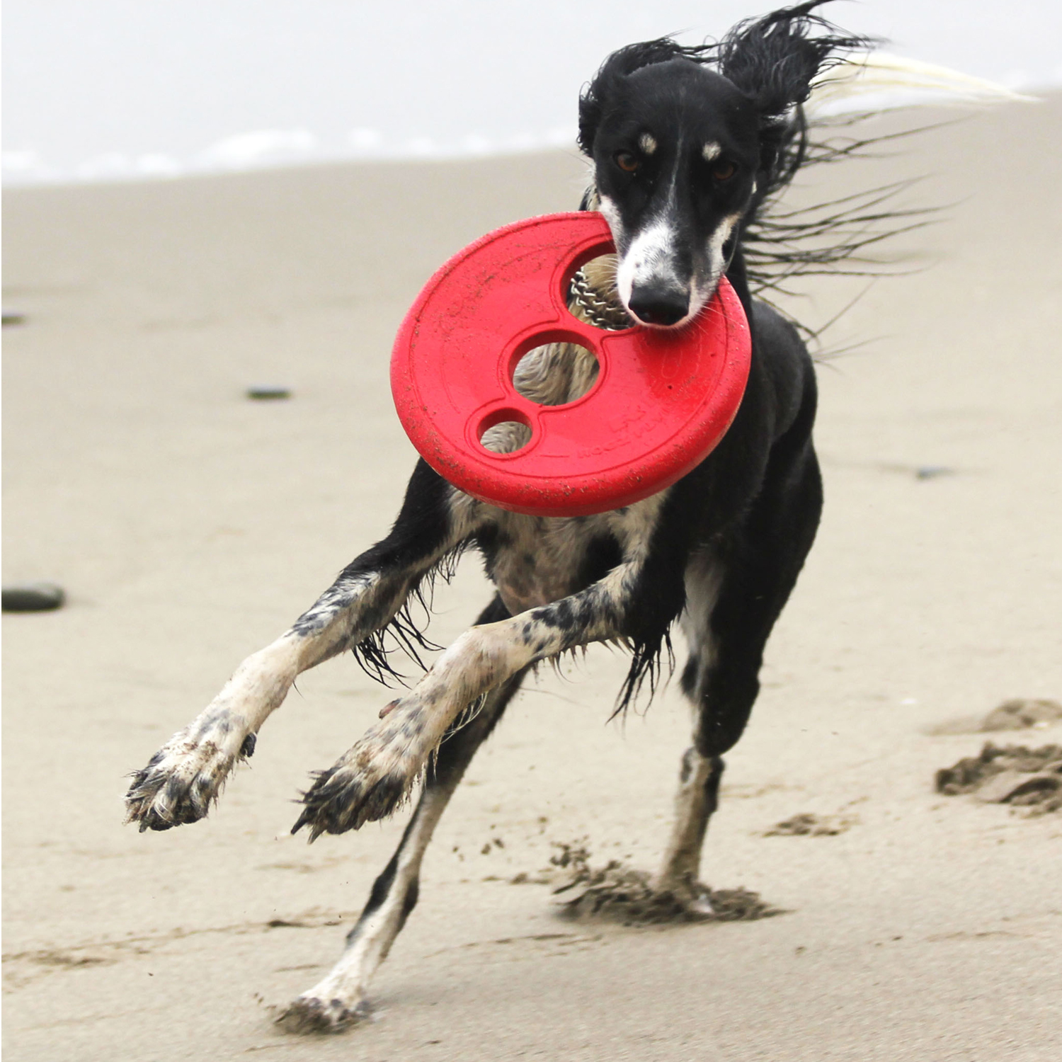 Rogz RFO Fetch Flying toy - Image 9