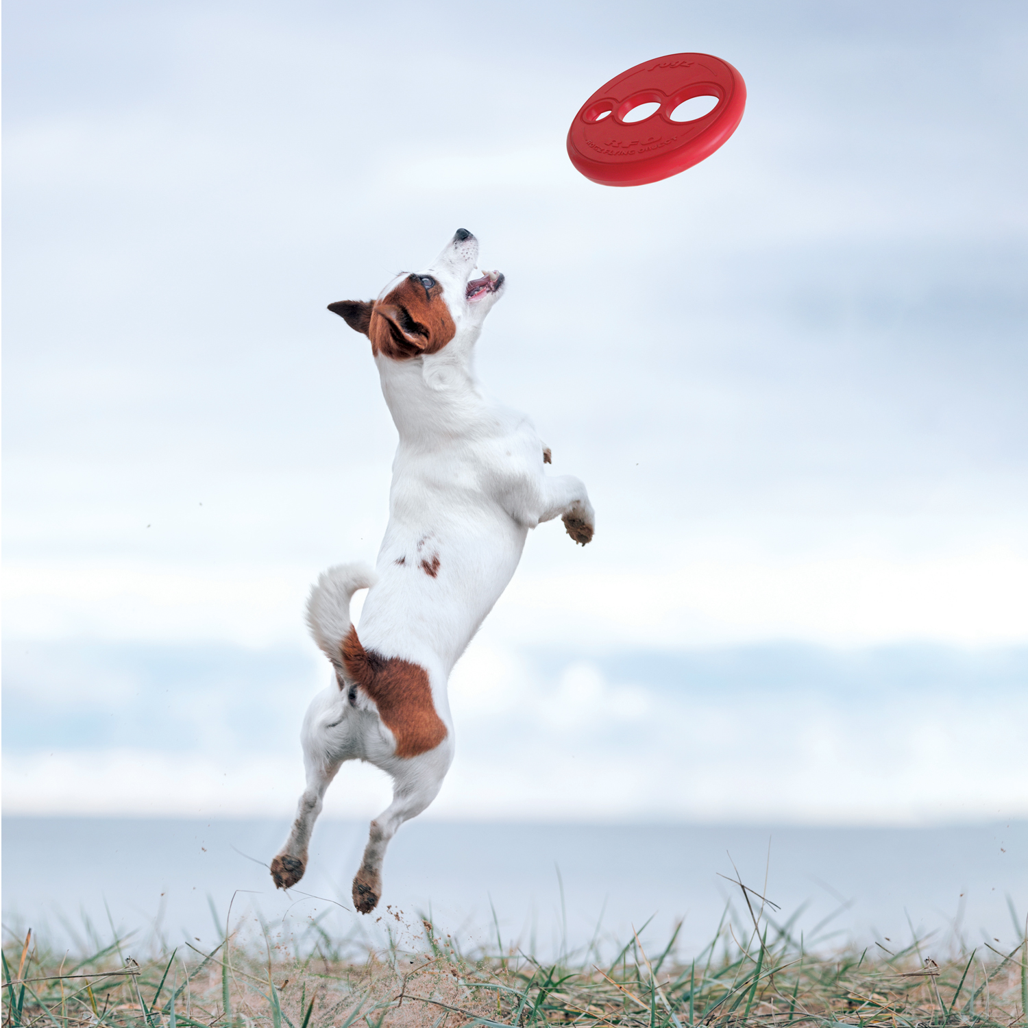 Rogz RFO Fetch Flying toy - Image 10
