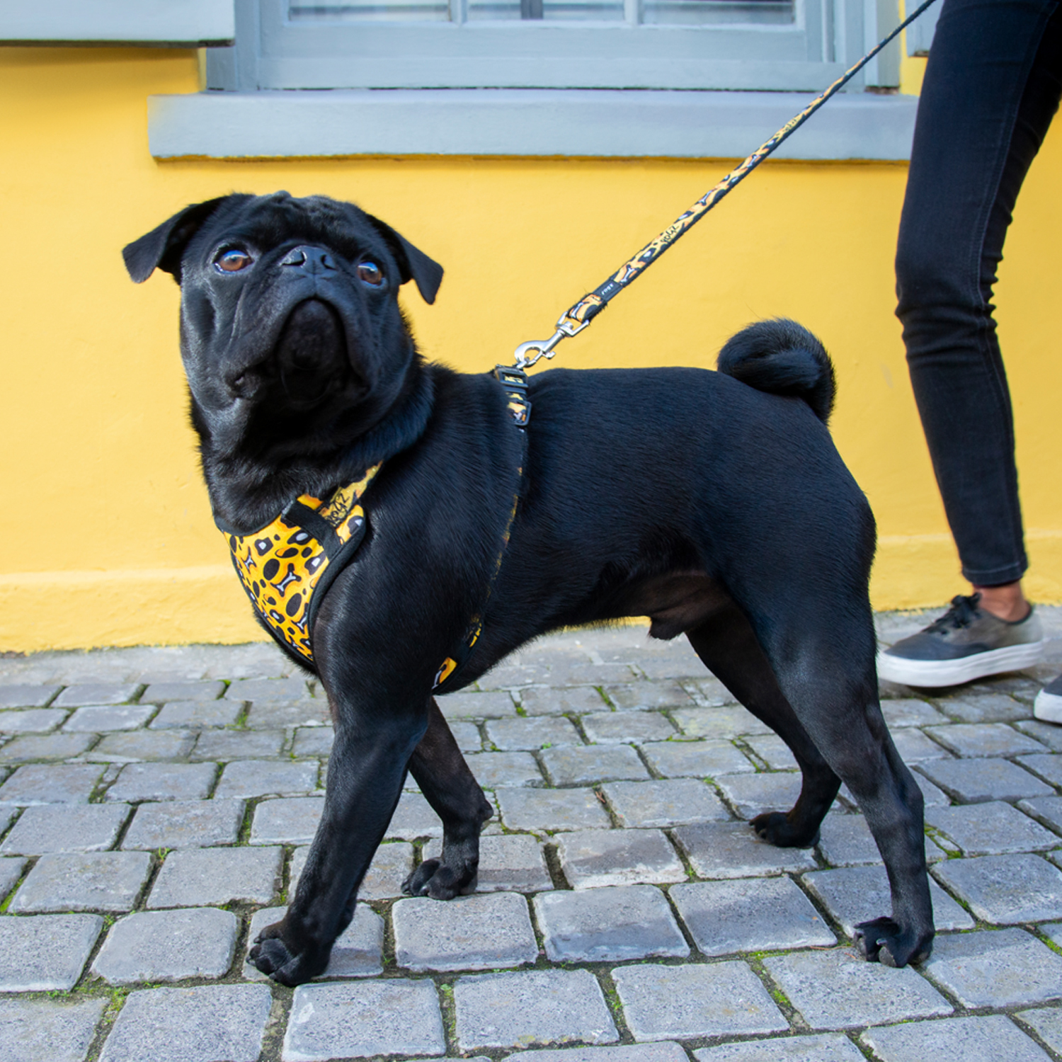 Rogz Fashion harness - Image 10