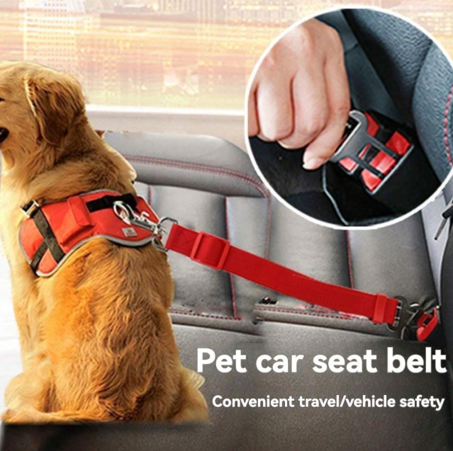 Pet safety belt