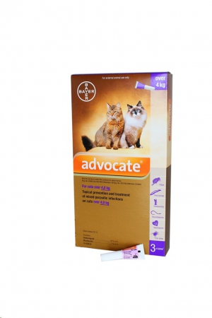 Advocate for cats (bulk pack: 3 pipettes)