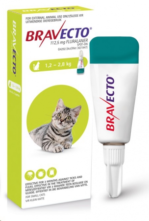 Bravecto for cats