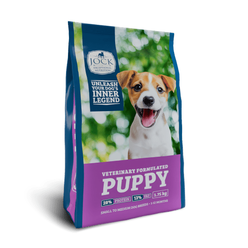 Jock S/M Puppy (for small or medium breeds)