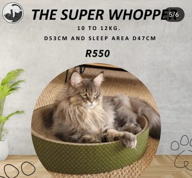 Cat nests